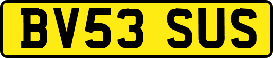 BV53SUS