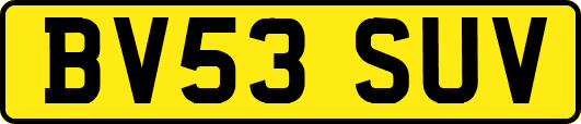 BV53SUV