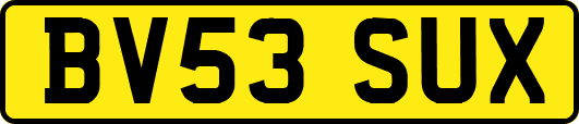 BV53SUX