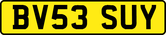 BV53SUY