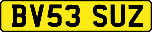BV53SUZ