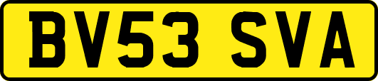 BV53SVA