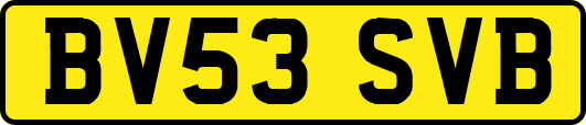 BV53SVB