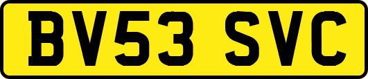 BV53SVC