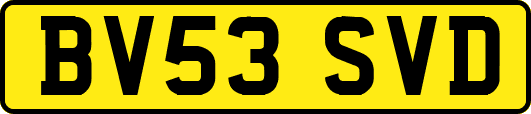 BV53SVD