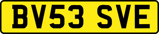 BV53SVE
