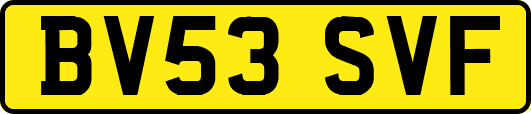 BV53SVF