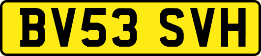 BV53SVH