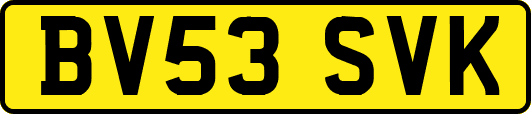 BV53SVK