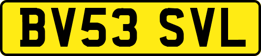 BV53SVL