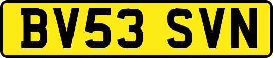 BV53SVN