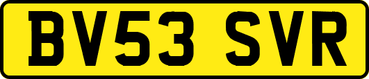 BV53SVR