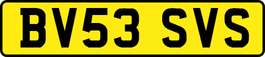 BV53SVS