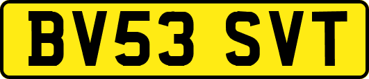 BV53SVT