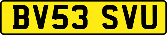 BV53SVU
