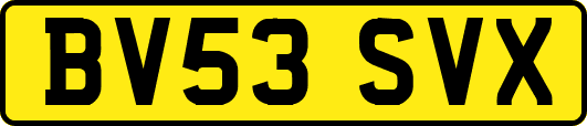 BV53SVX