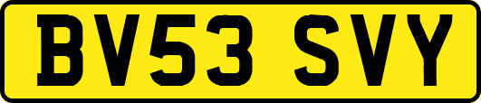 BV53SVY