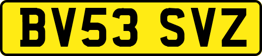BV53SVZ