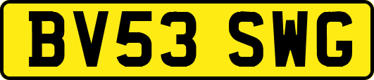 BV53SWG