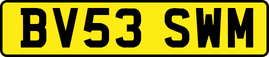 BV53SWM