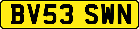 BV53SWN