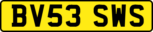 BV53SWS