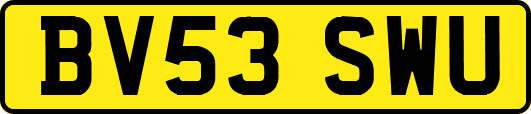 BV53SWU