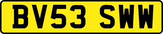 BV53SWW