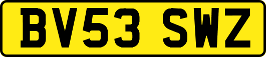 BV53SWZ