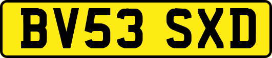 BV53SXD