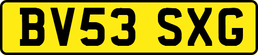 BV53SXG