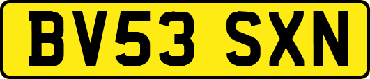 BV53SXN