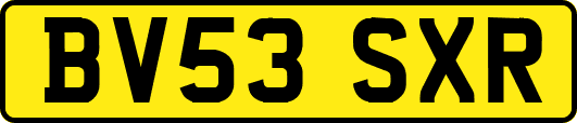 BV53SXR