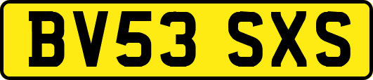 BV53SXS