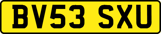 BV53SXU