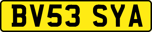 BV53SYA
