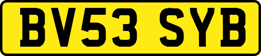 BV53SYB
