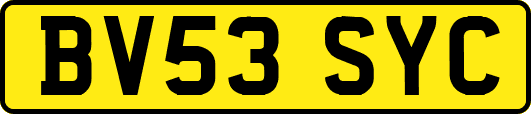 BV53SYC