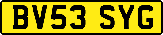 BV53SYG