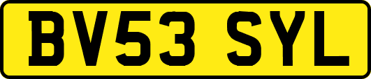 BV53SYL