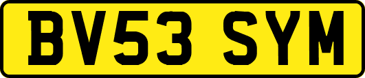 BV53SYM