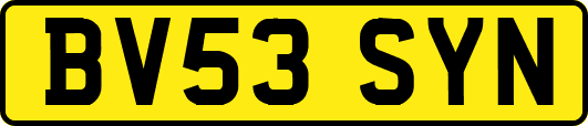 BV53SYN