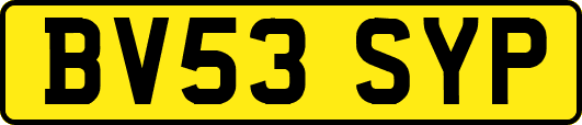 BV53SYP