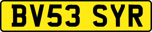 BV53SYR