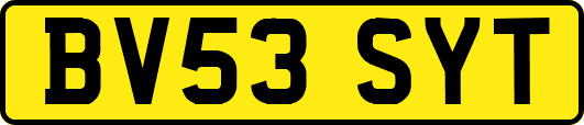 BV53SYT