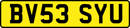 BV53SYU