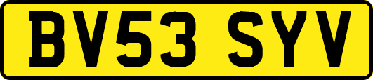 BV53SYV