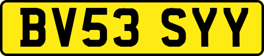 BV53SYY