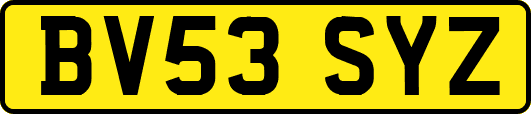 BV53SYZ