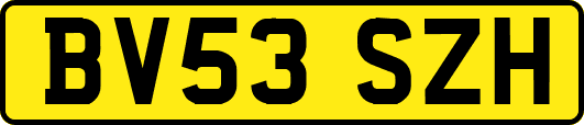 BV53SZH